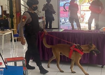 Anjing pelacak bom juga diturunkan dalam sterilisasi di sejumlah gereja di Cilacap untuk memastikan tidak ada benda mencurigakan seperti bahan peledak di dalam lingkungan gereja. (ISTIMEWA)