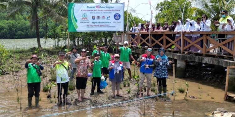 PT Kilang Pertamina Internasional (KPI) RU IV Cilacap menanam 2.023 tanaman mangrove di pulau Momongan. (ISTIMEWA)