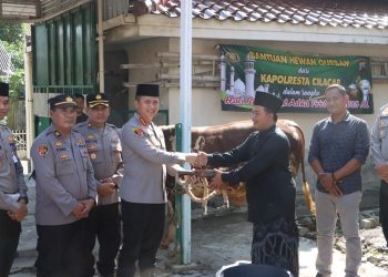 Kapolresta Cilacap Kombes Pol Ruruh Wicaksono menyerahkan satu ekor hewan kurban berupa seekor sapi jantan kepada Masjid Agung Darussalam Cilacap, Selasa (3/6/2025). (FOTO : ISTIMEWA)