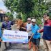 Pendistribusian hewan kurban oleh perwakilan PT S2P - PLTU Cilacap kepada penerima bantuan. (FOTO : ISTIMEWA)