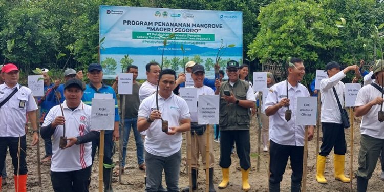 GM Pelindo bersama pihak terkait melakukan penanaman 29.000 bibit tanaman mangrove di Jagapati Kelurahan Kutawaru, Cilacap Tengah. (CILACAPMEDIA/Wagino)